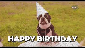 Birthday Meme Happy Birthday Gif Funny For Her Https Encrypted Tbn0 Gstatic Com Images Q Tbn 3aand9gcrw Yij5rvnttgrwesnln Hf S3hz5fdztttq Usqp Cau