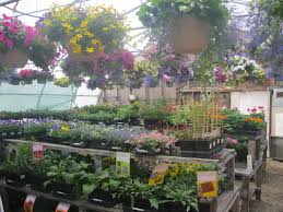 Parim lilleseadjad kohas eastport, maine. Photos Mainely Flowers