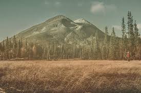 Inspirationen till hotell borgafjäll kom från klöverfjällets toppar. Anderstam Fjallhus Levererar Hus Till Kloverbacken I Borgafjall