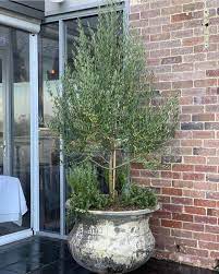 Pin On Home Design Gardens