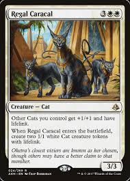 Are caracals good house pets? Regal Caracal Amonkhet Akh Price History