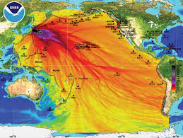 The official total for the number of people confirmed dead or listed as missing from the 2011 disaster was about 18,500. Japan Earthquake And Tsunami Of 2011 Facts Death Toll Britannica