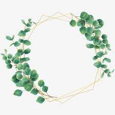 Eucalyptus Leaf Frame Style Wreath Clipart Eucalyptus Frame Png And Vector With Transparent Background For Free Download Wedding Borders Floral Border Design Wedding Invitations Logo