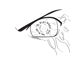How To Draw Byakugan 5 Steps With Pictures Wikihow It's obvious that it has been transplanted into him from it's similar to that eye of toneri in its first stages from the last: how to draw byakugan 5 steps with