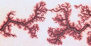 Fractal Lichtenberg Figure Wood Burning With Electricity Lichtenberg Figures Burning Wood With Electricity Wood Images