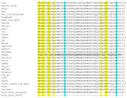 The sequence of the human genome is of interest in several respects. Animals Free Full Text Interacting Proteins Polymorphisms And The Susceptibility Of Animals To Sars Cov 2