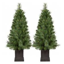 The douglas fir (pseudotsuga menziesii) is an evergreen conifer species in the pine family, pinaceae. 2pk 3 5ft Prelit Artificial Christmas Tree Potted Douglas Fir Clear Lights Wonder Slim Artificial Christmas Trees Porch Christmas Tree Outdoor Christmas Tree
