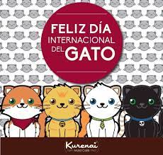 Virbac méxico, experto en salud animal. Feliz Dia A Kattgard Gatos Bosques De Noruega Mexico Facebook
