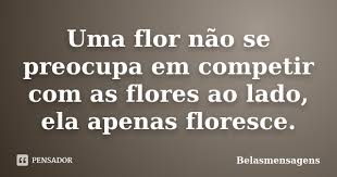 Resultado de imagem para belas mensagens