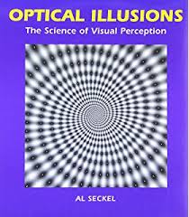 Image result for illusion pictures