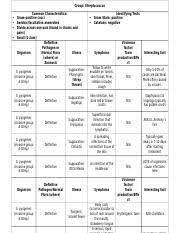 Agpb Chart Docx Group Aerobic Gram Positive Bacilli Common