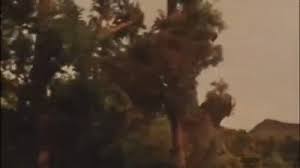 If you enjoyed this video, then subscribe to my channel and my gaming channel here: Gamera Guardian Of The Universe Full Movie English On Make A Gif