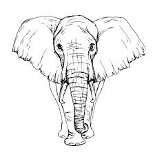 Free Free 178 Elephant Line Drawing Svg SVG PNG EPS DXF File