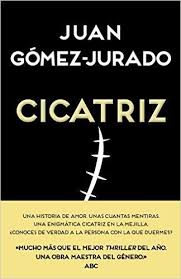 Cicatriz Juan Gomez Jurado B De Books Amazon Es Tienda Kindle Libros De Intriga Cicatrices Libros
