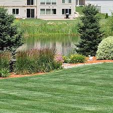 Spirion is dedicated to your data security and privacy, but we love sharing details about ourselves. Peter S Landscape Inc Best Tree Removal Northern Virginia S Top Commercial Landscaper