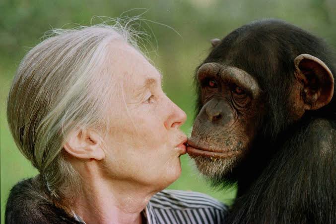 Jane Goodall, famed chimpanzee researcher and environmental advocate, dies  at 91 | Fortune