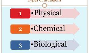 Mutagenesis And Mutagens Online Biology Notes