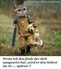Lustige tiere youtube scrapbooks sind perfekt für alle die gerne mal kreativ sind. Dreamies De Katzen Lustige Spruche Katze Lustig Katzen Witze