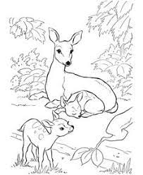 Greeting card for mom with cute animals. 18 Mom And Baby Animal Coloring Pages Ideas Animal Coloring Pages Coloring Pages Coloring Pages For Kids