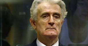 Karadžićeva odbrana od cijelog svijeta