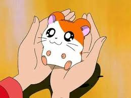 Hamtaro Hamtaro Kawaii Drawings Anime