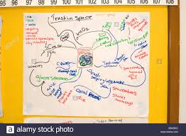 brainstorming flow chart of pollution global warming