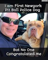 The Rainbow Bridge 🌈