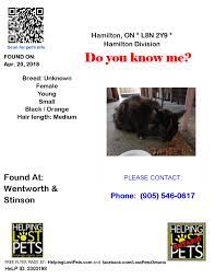We can help you find a great pet insurance deal for you, all in two shakes of a dog's tail. Facebook