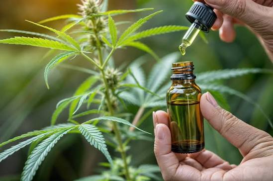 How Bulk CBD Distillate Helps Brands Scale Production Efficiently