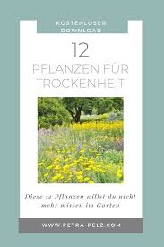 Garten Und Klimawandel Archive Stilvolles Design Einfach Gepflanzt In 2020 Pflanzen Stauden Garten