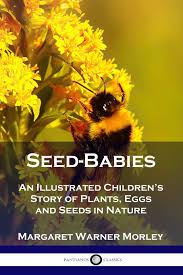 If you're planting parsley indoors, be sure to grow it near a sunny window. Seed Babies An Illustrated Children S Story Of Plants Eggs And Seeds In Nature Morley Margaret Warner 9781789871708 Amazon Com Books