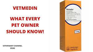 What Every Pet Owner Should Know About The Use Of Vetmedin Pimobendan Side Effects Youtube