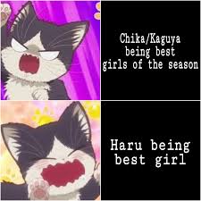 Not really that interesting, but not too terrible. Giving Haru The Justice She Deserves Anime My Roommate Is A Cat Animemes