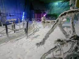 Sempat juga masuk rumah 4 musim. Rumah Iklim Sederhana Taman Botani Negara Shah Alam Facebook