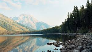 Rv camping in jackson wyoming: The Best Campgrounds At Grand Teton National Park Sunset Magazine