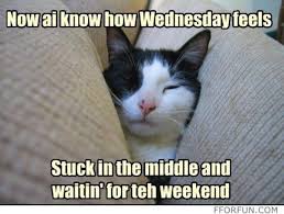 You can explore wednesday work reddit one liners, including funnies and gags. 17 Hilarious Hump Day Memes To Help You Get To The Weekend Best Life