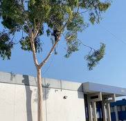 URBAN FOREST SOLUTIONS (TREE CARE) #908102