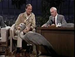 Jim Fowler Who Hosted Wild Kingdom And Made Numerous Appearances On The Tonight Show Dies At Age 89 Daily Mail Online
