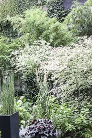 Une Jardin D Ombre Jardin C Jardin D Ombre Jardins Mini Jardins