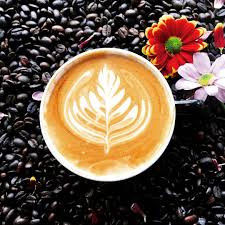Cafe is takeaway and shop counter. Craft Coffee Roasters Home Facebook