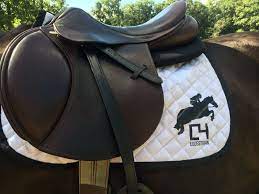 Apr 28, 2020 · saddle pads play a key role in keeping your horse comfortable and performing his best, so it's important to select a pad that fits his needs. Winning Combinations Saddle Pads That Are Truly Betterforbacks Eventing Nation Three Day Eventing News Results Videos And Commentary
