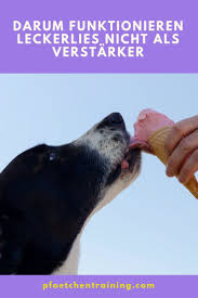 Neue Verstarker Pfotchentraining Hundchen Training Hundetraining Welpen Erziehen