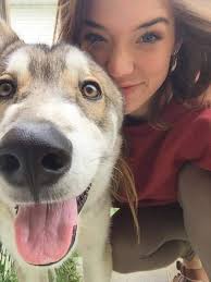 TO THE COLD, HEARTLESS, PERSON WHO ABANDONED THEIR BEAUTIFUL DOG ON THE  SIDE OF THE ROAD, Ya, you in the white car. The one who pulled off the 401  ramp and was