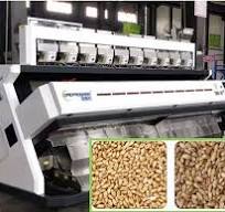 Wheat Color Sorter manufacturer, Buy good quality Wheat ...