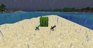 However if you feel like pouring all of your cactus knowledge into this board, go right ahead. The Dangers Of Cacti In Minecraft
