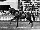 Check spelling or type a new query. Sport Olympische Spiele Berlin Deutschland 1936 Dressur Burgermeister Podhajsky Osterreich Bronzemedaillengewinner 13 8 1936 Militar Offizier Uniform Uniformen 1930er 30er 30er 20 Jahrhundert Historisch Reiten Reiten Reitsport