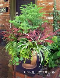 Pin Von Teresa Boeck Auf A U T U M N Garten Pflanzen Gartencontainer Topf Und Kubelpflanzen