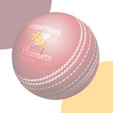 Have you organised your registration for 2015? Pjsa History Prestons Hornets Cricket Club