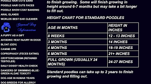 Standard Poodle Weight And Height Poodle Hair Poodle