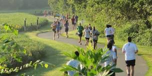 Run for Green